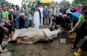 Kisah Nabi Ismail A.S.: Kesabaran Seorang Anak Yang Ditinggalkan Di Padang Pasir